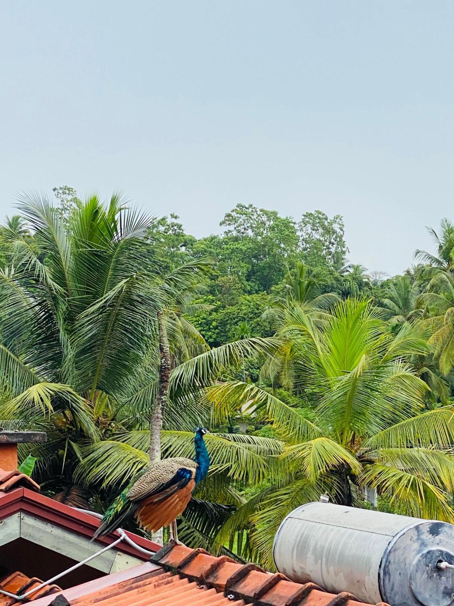 Madushanka palace Unawatuna Zewnętrze zdjęcie