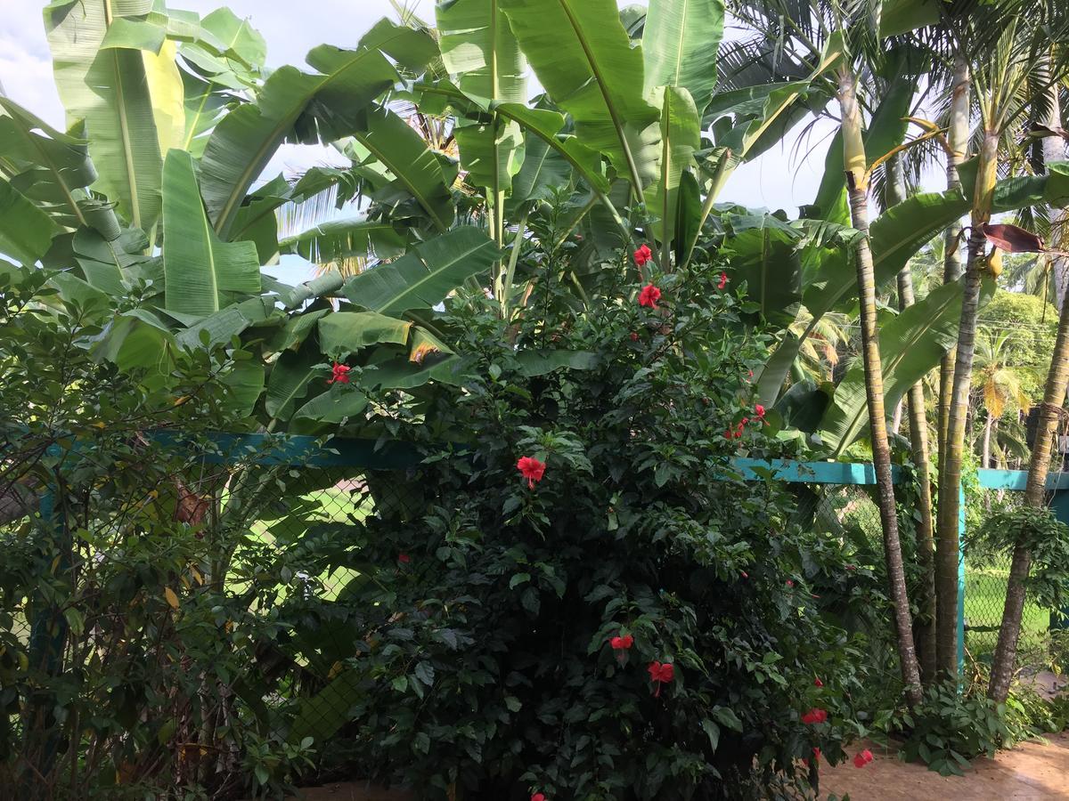 Madushanka palace Unawatuna Zewnętrze zdjęcie
