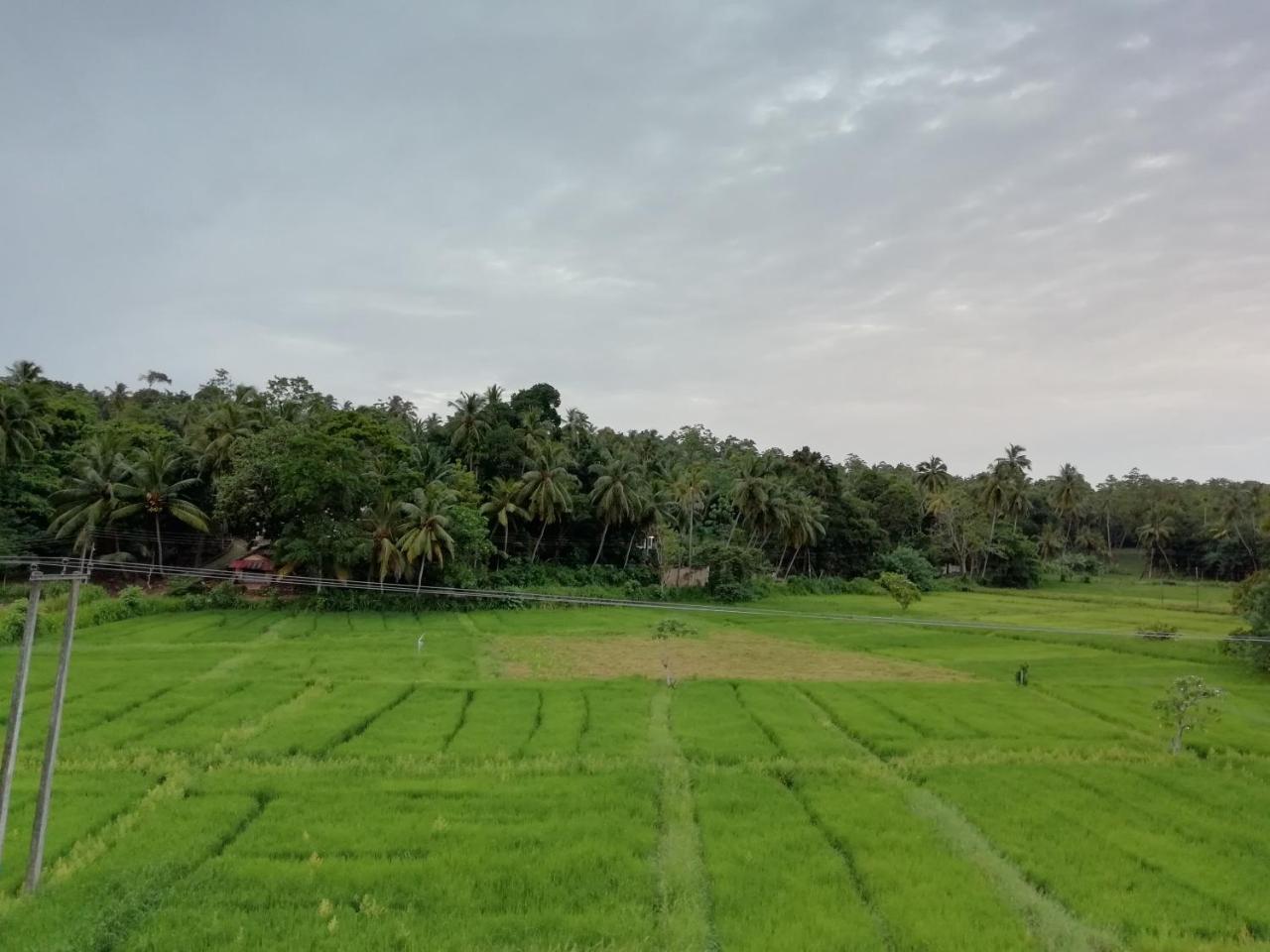 Madushanka palace Unawatuna Zewnętrze zdjęcie